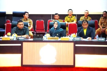 Kuasai Kursi DPRD Sulsel, Nasdem Tunjuk Cicu Ketua Definitif